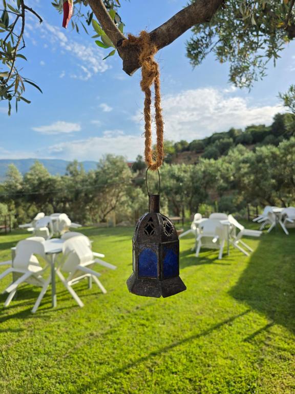B&B con giardino immerso negli ulivi a Petrizzi